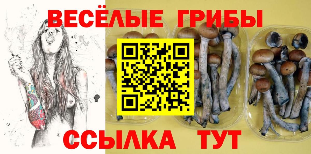 Галлюциногенные грибы мицелий  Вход с VPN  Михайловка 