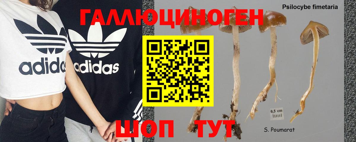 Псилоцибиновые грибы MAGIC MUSHROOMS Михайловка